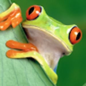 Meet your Posher, Johnny